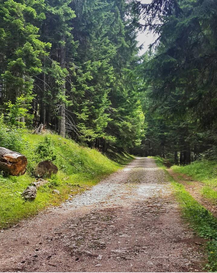 Apartmani Vila Zabljak エクステリア 写真